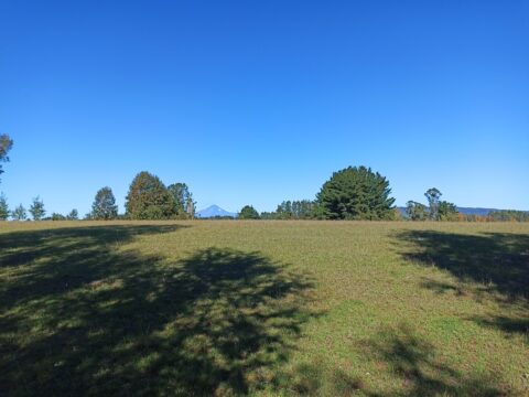 8HECTAREAS A 15MIN DE VILLARRICA $550.000.000