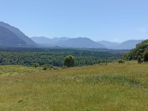 PARCELA A 2KM DE SECTOR LOS CALABOZOS PUCON $100.000.000