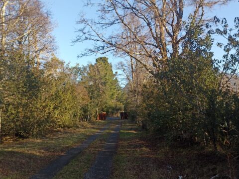 PARCELAS A 8MIN DE PUCON METREÑEHUE $88.000.000