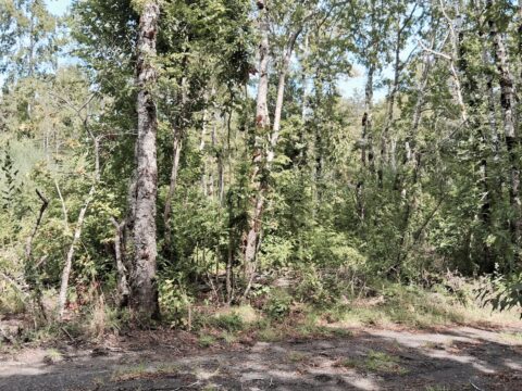 PARCELA A 8MIN DE PUCON $65.000.000